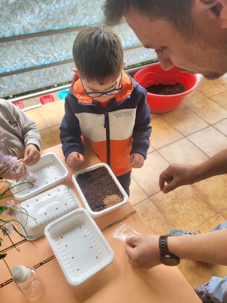 atelier de microplante la gradinita LadyBird sustinut de asociatia bioza