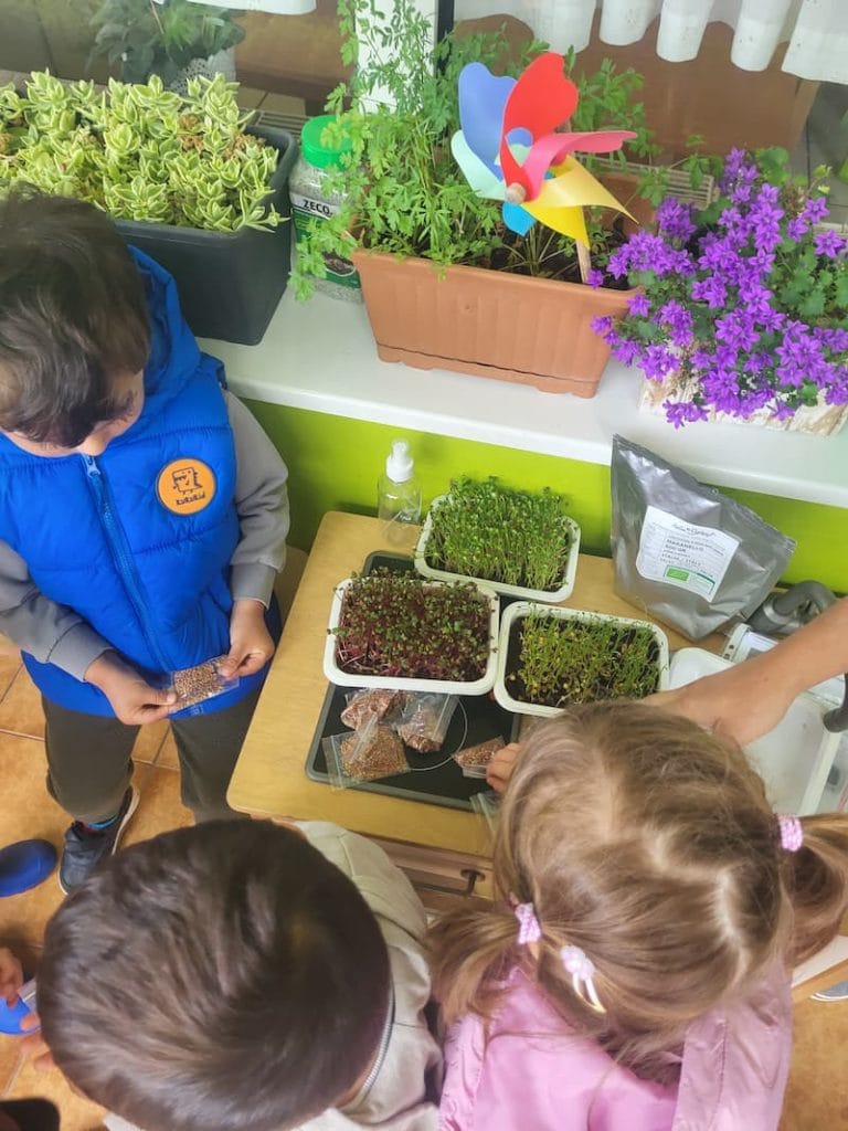 atelier de microplante la gradinita LadyBird sustinut de asociatia bioza