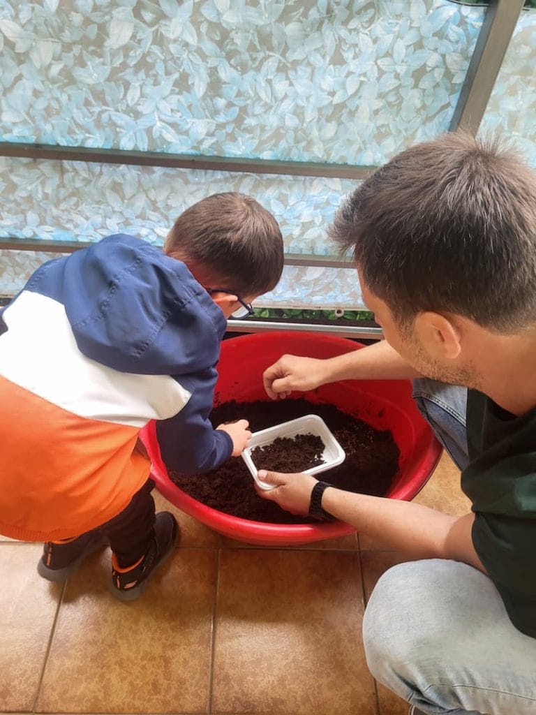 atelier de microplante la gradinita LadyBird sustinut de asociatia bioza