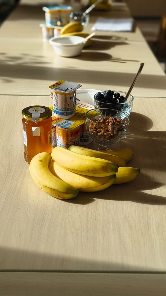Atelier Desert Prietenos - Iaurt cu fructe, nuci și miere susținut de Asociația Bioza prin Oana Teslaru la Nest - Parcul Copiilor Timișoara