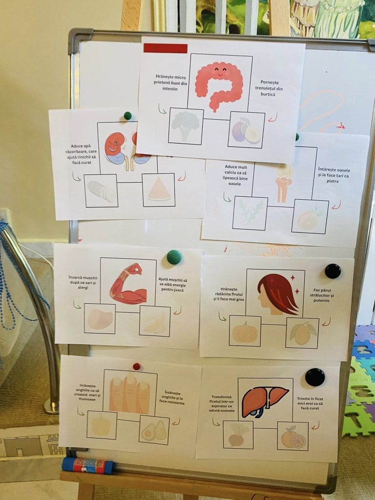 Atelier Kids Optim Vitamin - minim 30 de fructe și legume pe săptămână susținute de Asociația Bioza prin Oana Teslaru la Grădinița Acreditată LadyBird