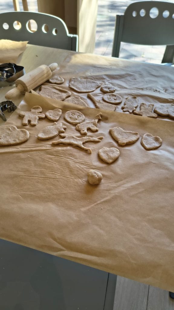 Atelier desert sănătos - Biscuiti din ingrediente naturale susținut de Asociația Bioza prin Oana Teslaru la Nest - Parcul Copiilor Timișoara